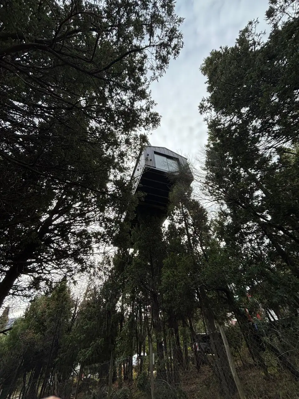 Maniobra de izaje con grúa de módulo suspendido sobre el bosque Faci House